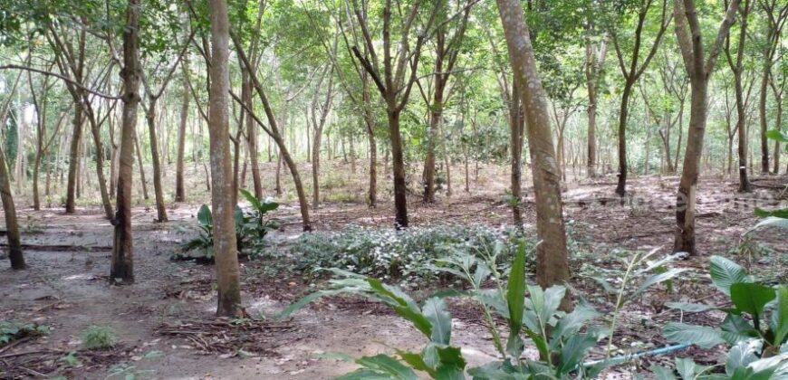 ที่ดินแปลงใหญ่ พร้อมสวนยาง อำเภอสอยดาว จันทบุรี 58-3-30 ไร่