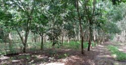 ที่ดินแปลงใหญ่ พร้อมสวนยาง อำเภอสอยดาว จันทบุรี 58-3-30 ไร่