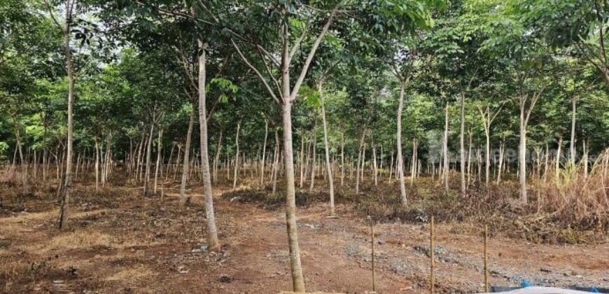 ขายบ้านพร้อมสวนยางพารา ทำเลทอง แหลมงอบ ตราด 13-0-59.8 ไร่