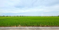 ที่ดินเปล่า 11-1-24 ไร่ คลองนิยมยาตรา บางบ่อ สมุทรปราการ