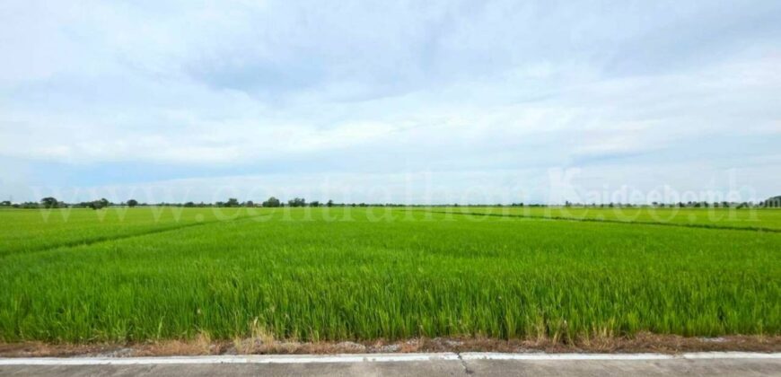 ที่ดินเปล่า 11-1-24 ไร่ คลองนิยมยาตรา บางบ่อ สมุทรปราการ