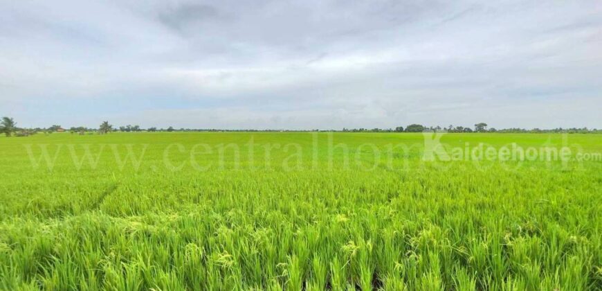 ที่ดินเปล่า 11-1-24 ไร่ คลองนิยมยาตรา บางบ่อ สมุทรปราการ