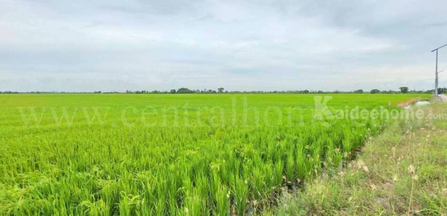 ที่ดินเปล่า 11-1-24 ไร่ คลองนิยมยาตรา บางบ่อ สมุทรปราการ