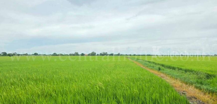 ที่ดินเปล่า 11-1-24 ไร่ คลองนิยมยาตรา บางบ่อ สมุทรปราการ