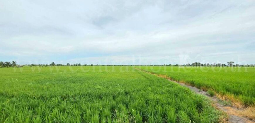 ที่ดินเปล่า 11-1-24 ไร่ คลองนิยมยาตรา บางบ่อ สมุทรปราการ