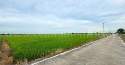 ที่ดินเปล่า 11-1-24 ไร่ คลองนิยมยาตรา บางบ่อ สมุทรปราการ