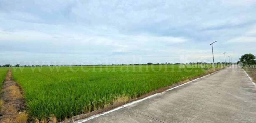 ที่ดินเปล่า 11-1-24 ไร่ คลองนิยมยาตรา บางบ่อ สมุทรปราการ