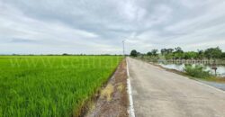 ที่ดินเปล่า 11-1-24 ไร่ คลองนิยมยาตรา บางบ่อ สมุทรปราการ