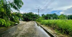 ที่ดินเปล่า 246 ตร.วา ปัญญาเลคโฮม คลองสามวา ขายเท่าราคาประเมิน