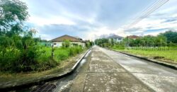 ที่ดินเปล่า 246 ตร.วา ปัญญาเลคโฮม คลองสามวา ขายเท่าราคาประเมิน