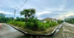 ที่ดินเปล่า 246 ตร.วา ปัญญาเลคโฮม คลองสามวา ขายเท่าราคาประเมิน