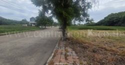 ที่ดินเปล่า 115 ตร.วา กฤษดาซิตี้ เลค แอนด์ พาร์ค เมกา บางนา