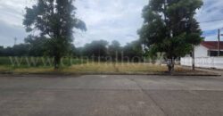 ที่ดินเปล่า 115 ตร.วา กฤษดาซิตี้ เลค แอนด์ พาร์ค เมกา บางนา