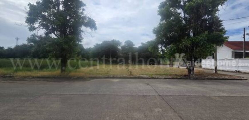 ที่ดินเปล่า 115 ตร.วา กฤษดาซิตี้ เลค แอนด์ พาร์ค เมกา บางนา