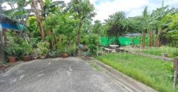 ที่ดินเปล่า 59.5 ตร.วา ถมแล้ว สุขุมวิท 97/1 ใกล้ BTS บางจาก ราคาถูกมาก