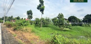 ที่ดินเปล่า 266 ตร.วา ท่าอิฐ 15 แยกตาลเดียว – วัดบางบัวทอง นนทบุรี