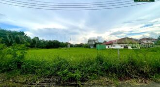 ที่ดินเปล่า 246 ตร.วา ปัญญาเลคโฮม คลองสามวา ขายเท่าราคาประเมิน