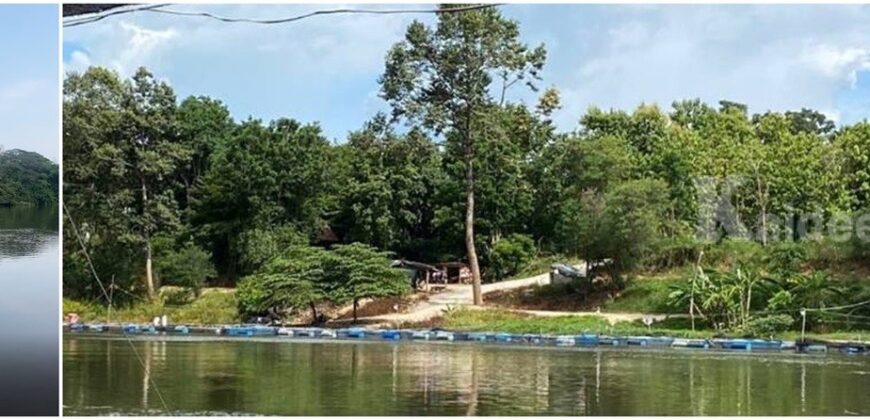 ขายที่ดินติดริมแม่น้ำแควน้อย จังหวัดกาญจนบุรี ขนาด 21 ไร่