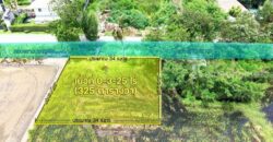 ขายที่ดิน บางบัวทอง นนทบุรี 2-2-43 ไร่