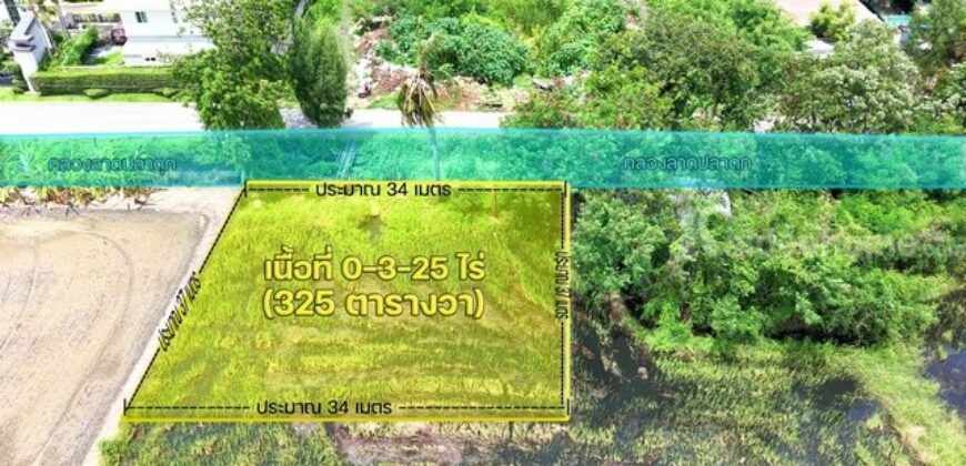 ขายที่ดิน บางบัวทอง นนทบุรี 2-2-43 ไร่
