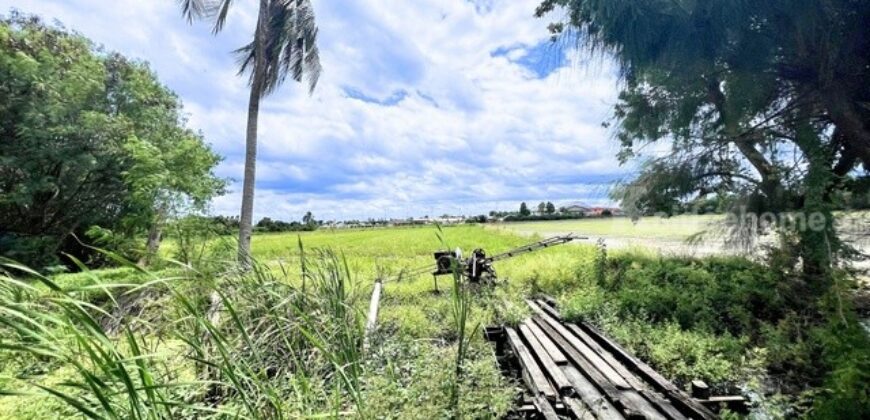 ขายที่ดิน บางบัวทอง นนทบุรี 2-2-43 ไร่