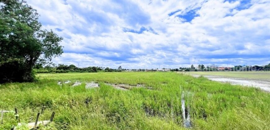 ขายที่ดิน บางบัวทอง นนทบุรี 2-2-43 ไร่