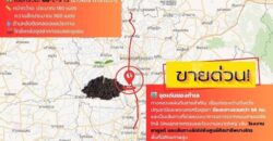 ขายที่ดิน แปลงใหญ่สวย ติดถนนสาย 347 ปทุมธานี-บางปะหัน ต.บางประแดง อ.บางประอิน อยุธยา กม. 29-30 โทร 095-8299247