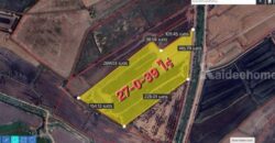 ขายที่ดินติดถนน เแปลงใหญ่สวย ติดถนนสาย 347 ปทุมธานี-บางปะหัน ต.บางประแดง อ.บางประอิน จ.พระนครศรีอยุธยา กม. 29-30 โทร 095-8299247