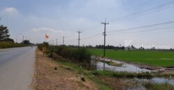 ขายที่ดินติดถนน เแปลงใหญ่สวย ติดถนนสาย 347 ปทุมธานี-บางปะหัน ต.บางประแดง อ.บางประอิน จ.พระนครศรีอยุธยา กม. 29-30 โทร 095-8299247