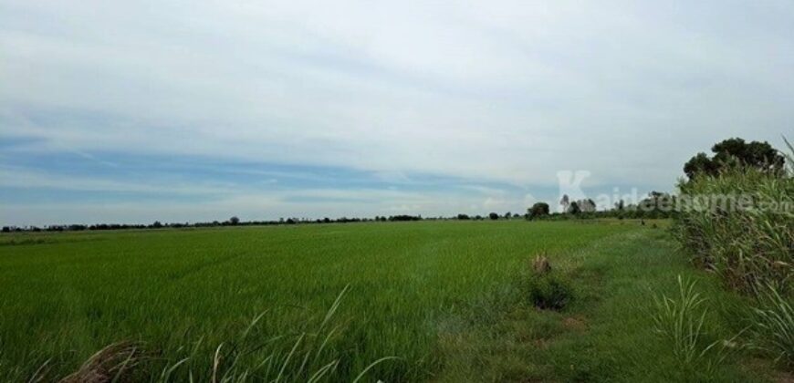 ขายที่ดินติดถนน เแปลงใหญ่สวย ติดถนนสาย 347 ปทุมธานี-บางปะหัน ต.บางประแดง อ.บางประอิน จ.พระนครศรีอยุธยา กม. 29-30 โทร 095-8299247