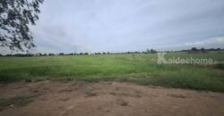 ขายที่ดินติดถนน เแปลงใหญ่สวย ติดถนนสาย 347 ปทุมธานี-บางปะหัน ต.บางประแดง อ.บางประอิน จ.พระนครศรีอยุธยา กม. 29-30 โทร 095-8299247