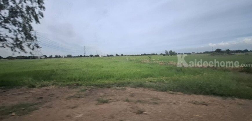 ขายที่ดินติดถนน เแปลงใหญ่สวย ติดถนนสาย 347 ปทุมธานี-บางปะหัน ต.บางประแดง อ.บางประอิน จ.พระนครศรีอยุธยา กม. 29-30 โทร 095-8299247