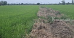 ขายที่ดินติดถนน เแปลงใหญ่สวย ติดถนนสาย 347 ปทุมธานี-บางปะหัน ต.บางประแดง อ.บางประอิน จ.พระนครศรีอยุธยา กม. 29-30 โทร 095-8299247