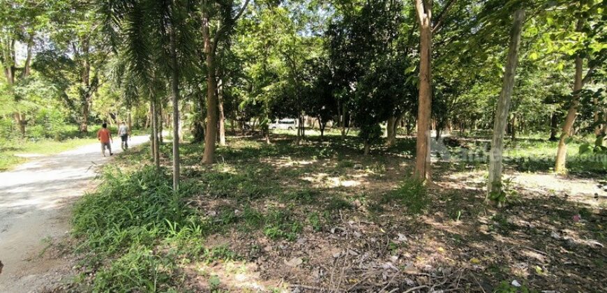 ขายที่ดินติดริมแม่น้ำแควน้อย จังหวัดกาญจนบุรี ขนาด 21 ไร่