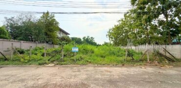 ขาย!! ที่ดินจัดสรร หมู่บ้านบ้านสวนเทพมณฑล ซอยศาลาธรรมสพน์5 (ขนาด 166 ตร.ว. ) ตลิ่งชัน ทวีวัฒนา พุทธมณฑลสาย2 ทำเลดี แปลงสวยเดินทางสะดวก เข้า-ออกได้หลายทาง