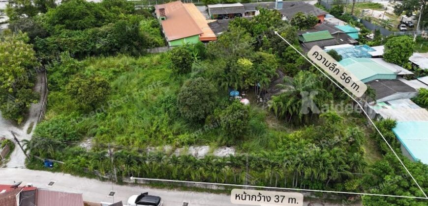 ที่ดินสวย ทำเลทอง อำเภอเมือง ชลบุรี 1-1-66 ไร่