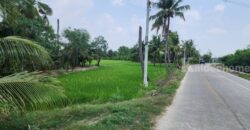 ขายที่ดินทำเลศักยภาพ พุทธมณฑลสาย 5 สามพราน นครปฐม 1-0-47 ไร่ ขายที่ดินทำเลศักยภาพ พุทธมณฑลสาย 5 สามพราน นครปฐม 1-0-47 ไร่