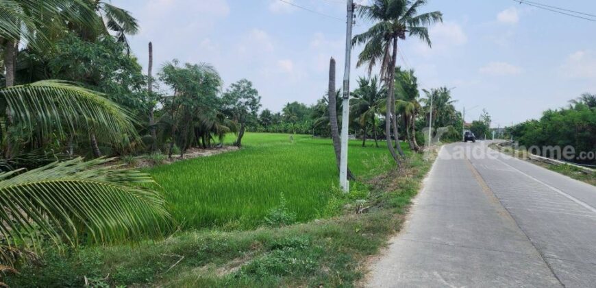 ขายที่ดินทำเลศักยภาพ พุทธมณฑลสาย 5 สามพราน นครปฐม 1-0-47 ไร่ ขายที่ดินทำเลศักยภาพ พุทธมณฑลสาย 5 สามพราน นครปฐม 1-0-47 ไร่