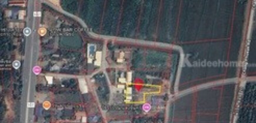 ขายที่ดินเปล่า วิวทุ่งนา ต.ขี้เหล็ก อ.แม่ริม เชียงใหม่