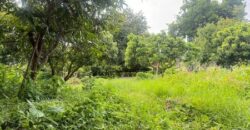 ขายที่ดิน ใกล้โรงเรียนปรินส์ฯ ต.ฟ้าฮ่าม จ.เชียงใหม่