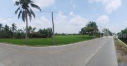 ขายที่ดินทำเลศักยภาพ พุทธมณฑลสาย 5 สามพราน นครปฐม 1-0-47 ไร่ ขายที่ดินทำเลศักยภาพ พุทธมณฑลสาย 5 สามพราน นครปฐม 1-0-47 ไร่