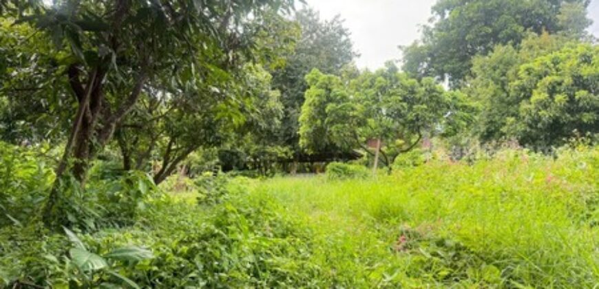 ขายที่ดิน ใกล้โรงเรียนปรินส์ฯ ต.ฟ้าฮ่าม จ.เชียงใหม่