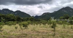 ขายที่ดินเขาใหญ่ บ้านเหวปลากั้ง หมูสี 5ไร่ อยู่เส้นกุดคล้าผ่านศึก ใกล้โครงการเขาพระนอน วิวเขาสวย เดินทางสะดวก ใกล้ถนนธนะรัชต์ อุทยานแห่งชาติ ร้านค้า ร้านอาหาร ราคาดี ด่วน 087-9074045