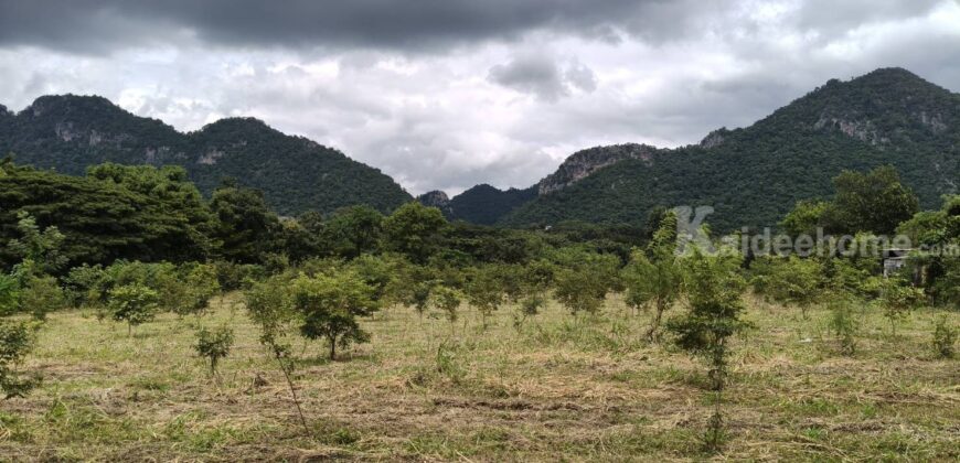 ขายที่ดินเขาใหญ่ บ้านเหวปลากั้ง หมูสี 5ไร่ อยู่เส้นกุดคล้าผ่านศึก ใกล้โครงการเขาพระนอน วิวเขาสวย เดินทางสะดวก ใกล้ถนนธนะรัชต์ อุทยานแห่งชาติ ร้านค้า ร้านอาหาร ราคาดี ด่วน 087-9074045