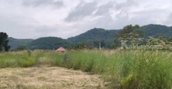 ขายที่เขาใหญ่ หนองสาหร่าย ปากช่อง 8ไร่ วิวเขาล้อมรอบ ใกล้ภูเขา ที่อยู่บนเนินสุดเทควิวสวยมาก ใกล้ 2235 เพียง 650ม. ใกล้ถนนมิตรภาพ ทำเลดี ไม่ลึก ไม่เปลี่ยว ใกล้ร้านค้าชุมชน ตลาด เซเว่น ขายถูก 087-9074045