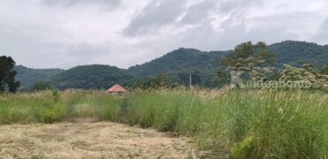 ขายที่เขาใหญ่ หนองสาหร่าย ปากช่อง 8ไร่ วิวเขาล้อมรอบ ใกล้ภูเขา ที่อยู่บนเนินสุดเทควิวสวยมาก ใกล้ 2235 เพียง 650ม. ใกล้ถนนมิตรภาพ ทำเลดี ไม่ลึก ไม่เปลี่ยว ใกล้ร้านค้าชุมชน ตลาด เซเว่น ขายถูก 087-9074045