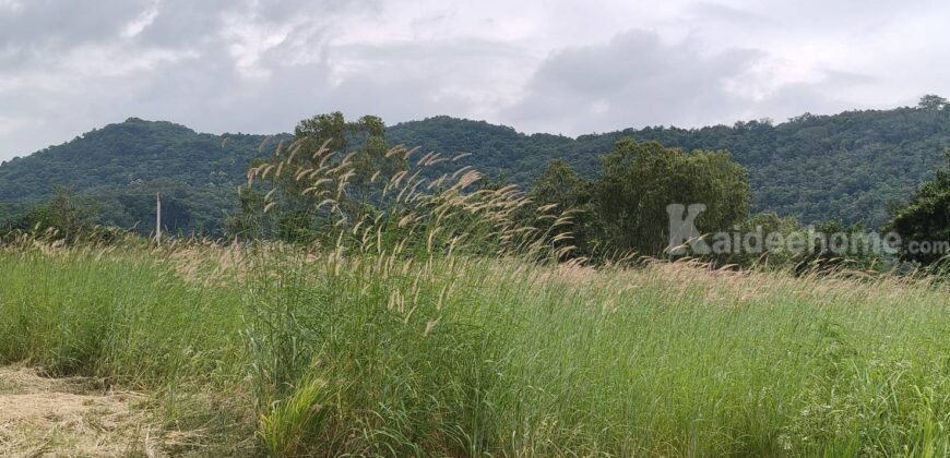ขายที่เขาใหญ่ หนองสาหร่าย ปากช่อง 8ไร่ วิวเขาล้อมรอบ ใกล้ภูเขา ที่อยู่บนเนินสุดเทควิวสวยมาก ใกล้ 2235 เพียง 650ม. ใกล้ถนนมิตรภาพ ทำเลดี ไม่ลึก ไม่เปลี่ยว ใกล้ร้านค้าชุมชน ตลาด เซเว่น ขายถูก 087-9074045