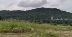 ขายที่เขาใหญ่ หนองสาหร่าย ปากช่อง 8ไร่ วิวเขาล้อมรอบ ใกล้ภูเขา ที่อยู่บนเนินสุดเทควิวสวยมาก ใกล้ 2235 เพียง 650ม. ใกล้ถนนมิตรภาพ ทำเลดี ไม่ลึก ไม่เปลี่ยว ใกล้ร้านค้าชุมชน ตลาด เซเว่น ขายถูก 087-9074045