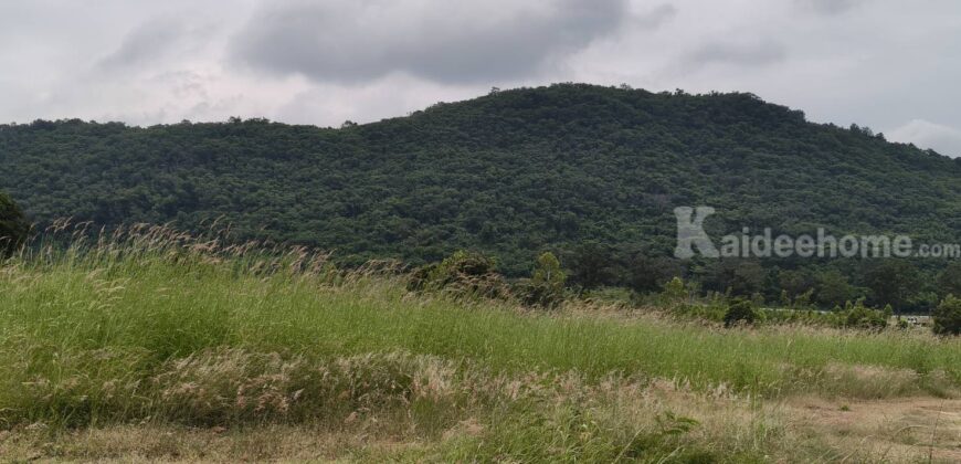 ขายที่เขาใหญ่ หนองสาหร่าย ปากช่อง 8ไร่ วิวเขาล้อมรอบ ใกล้ภูเขา ที่อยู่บนเนินสุดเทควิวสวยมาก ใกล้ 2235 เพียง 650ม. ใกล้ถนนมิตรภาพ ทำเลดี ไม่ลึก ไม่เปลี่ยว ใกล้ร้านค้าชุมชน ตลาด เซเว่น ขายถูก 087-9074045