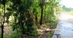 ที่ดินบรรยากาศดี ทำเลทอง วังปลา ต.แกลง จ.ระยอง